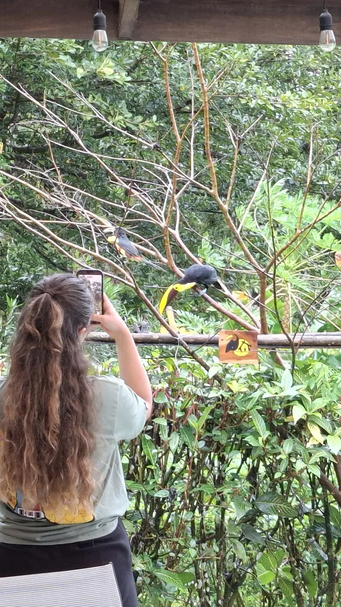 Clients observant les oiseaux durant le petit déjeuner