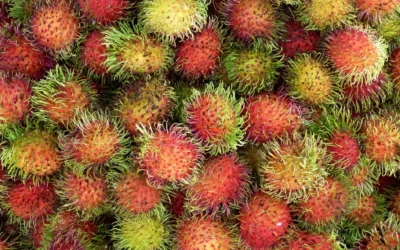 10 fruits du Costa Rica à découvrir et déguster
