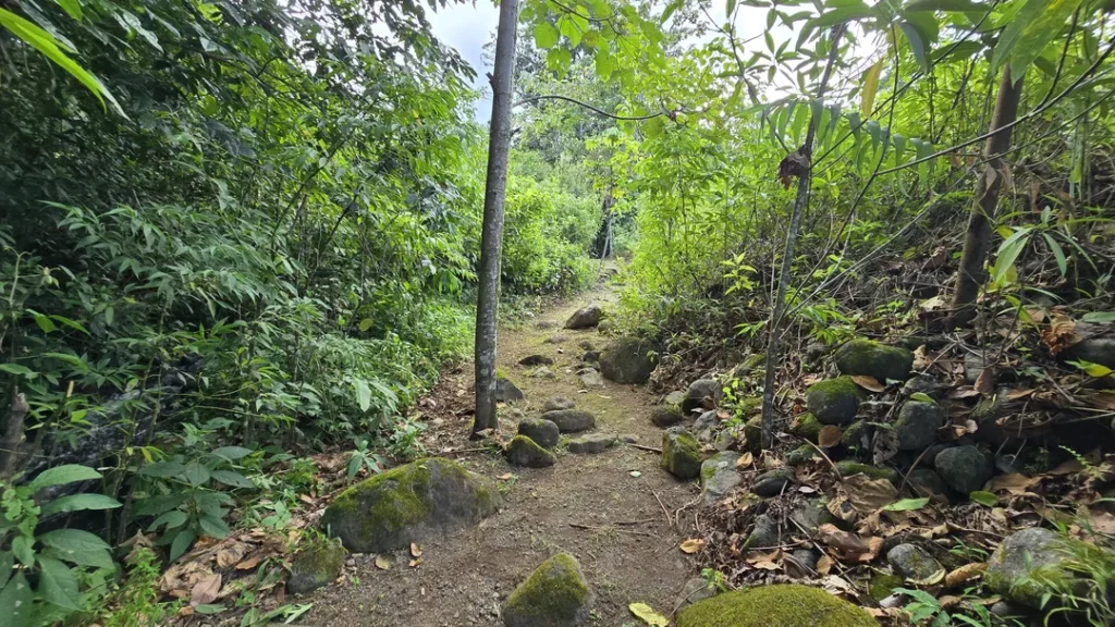 Sentier