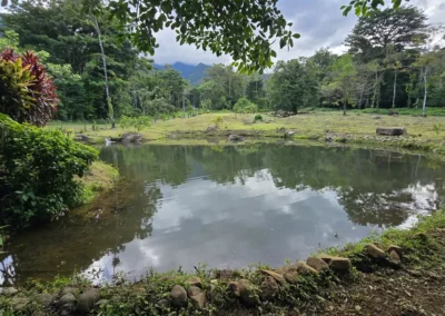 Un des lacs de Villa El Tucan